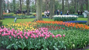 Keukenhof Gardens (The Netherlands)